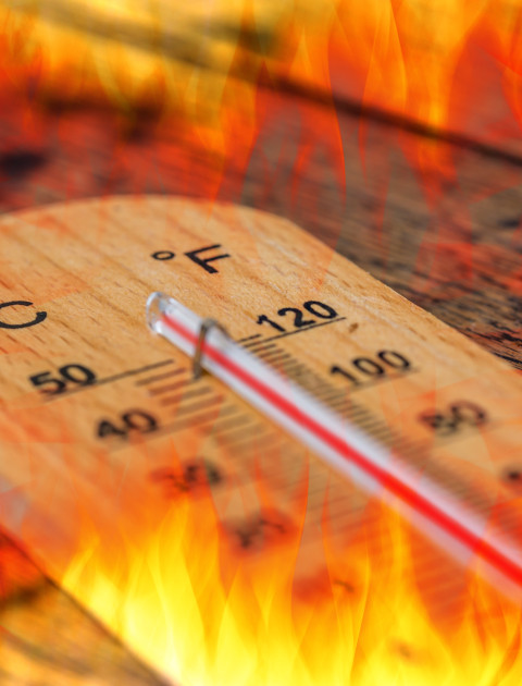 Fire Danger Rating and Fire Planning
