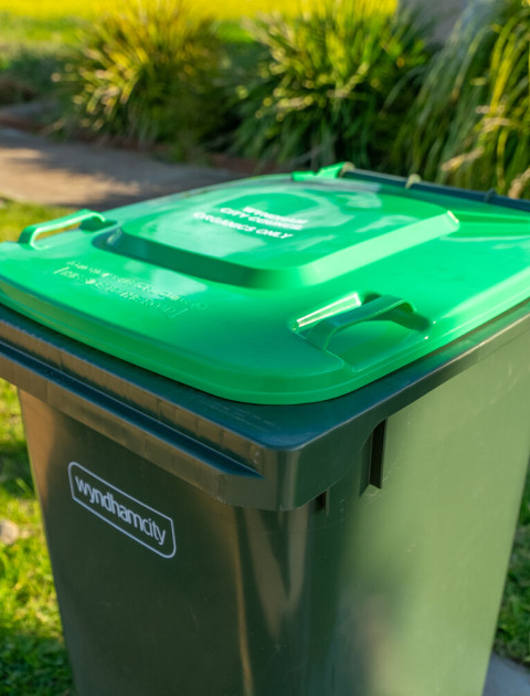 Green Lid Bin - Food Organics and Garden Organics (FOGO)
