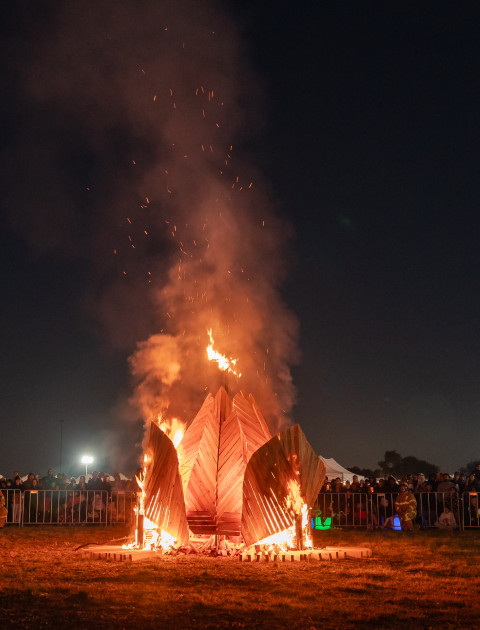 Firefly Night Market 