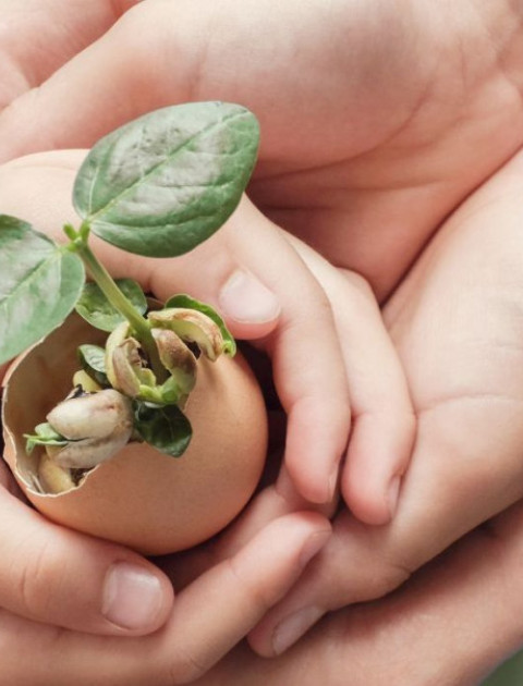 Sustainable Lifestyle