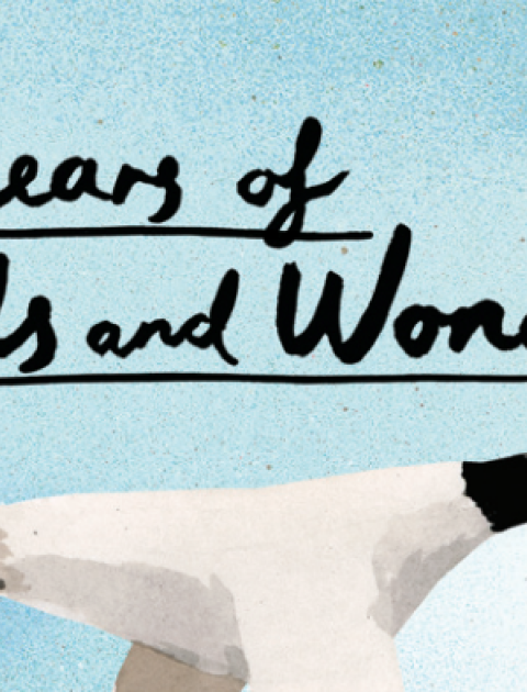 VPRC: 20 years of Words and Wonder