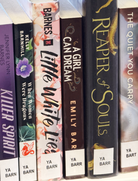 Young Adult Fiction books on a library shelf