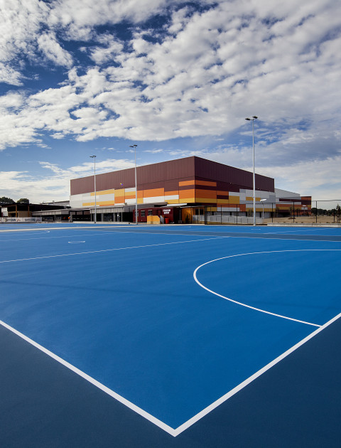 netball