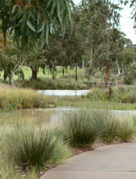 Conservation in Wyndham