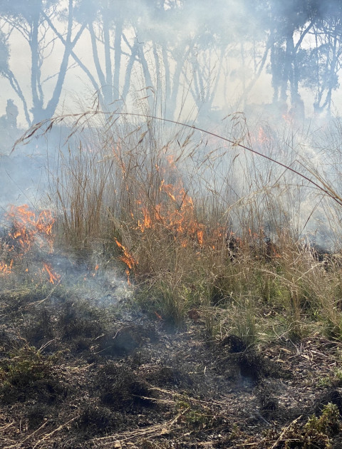 Wyndham City’s Prescribed Burn Program