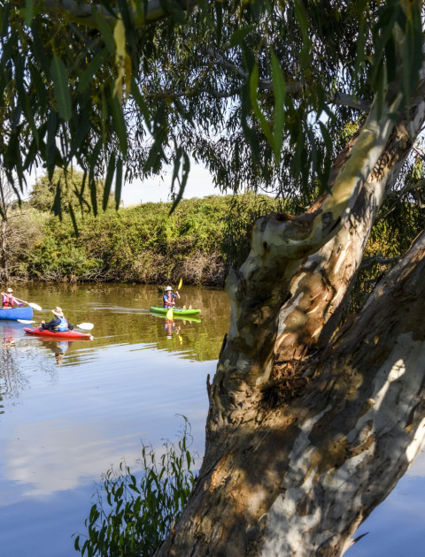 Werribee River - Canoes