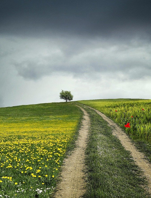 Family History Group - Manor Lakes Library