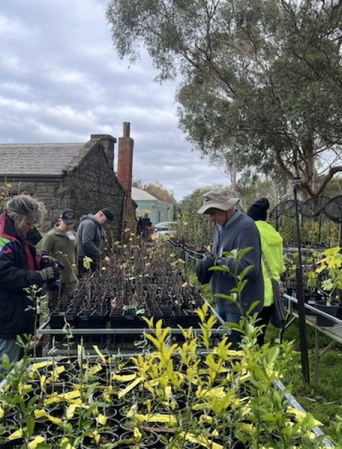 Werribee Park Heritage Orchard - Friday Volunteer Sessions