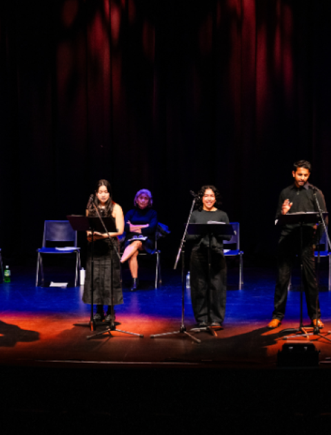 The Green Room Project Showcase - Establishing