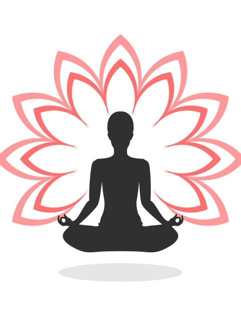 Sri Sri Yoga, Breath and Meditation Workshops