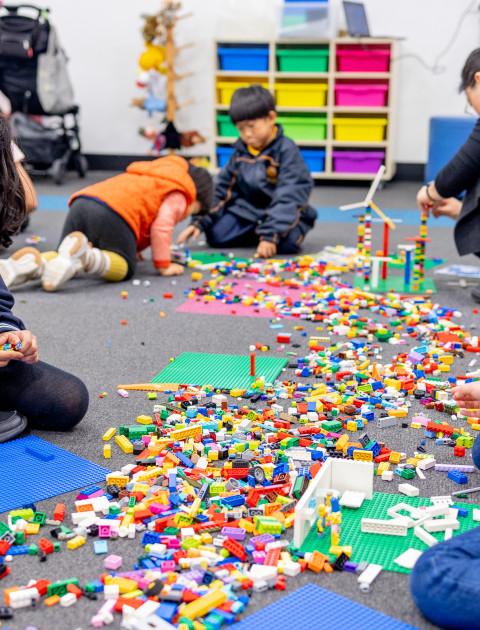 LEGO Plus - Julia Gillard Library Tarneit  