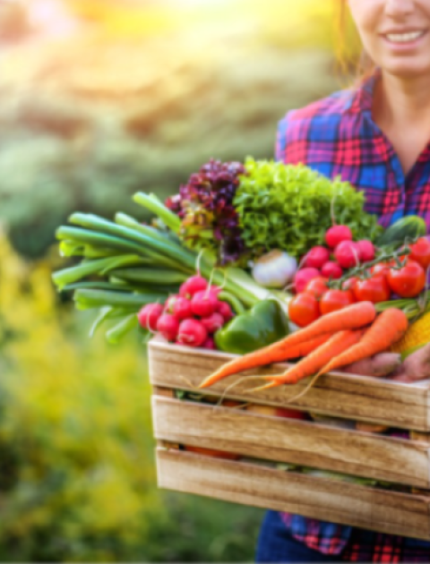 Lizzy Bizzy Food Swap 