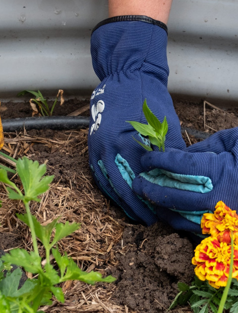 Community Gardening Series