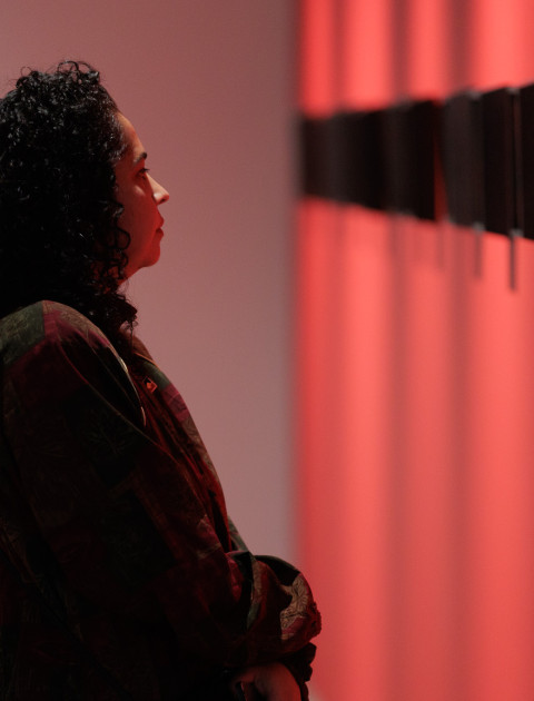 Hindi-Language Exhibition Tour: Hayley Millar Baker, Selected Works 