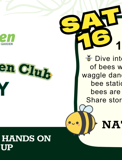 National Bee day