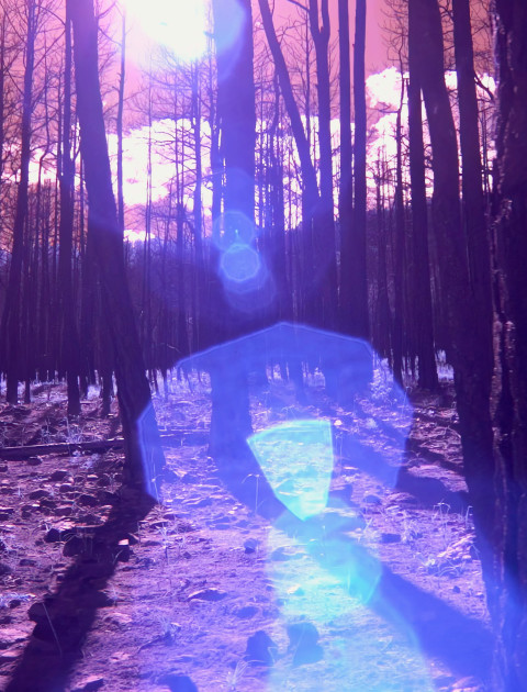 LANDSCAPES : TECHNOLOGIES : BODIES 