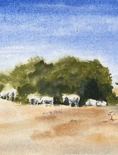 Tapestry of Culture – Mindfulness Watercolour Workshop