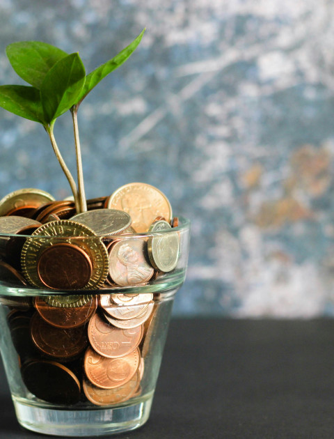 Free Business Training - Funding Pathways