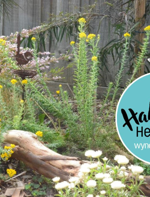 Habitat Gardens - Community Gardening Winter Series