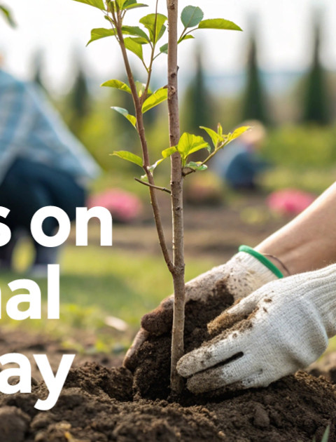 National Tree Day