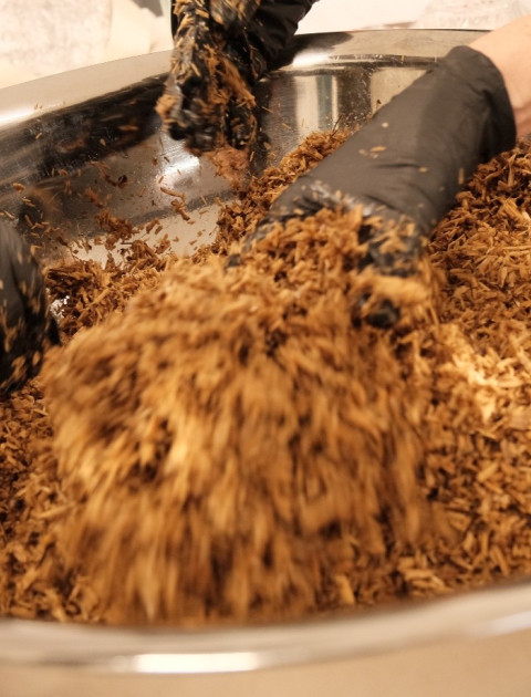 Tapestry of Culture – Regenerative Materials Workshop: Mycelium & Hemp Coasters