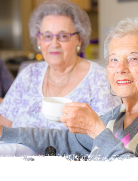 Seniors Festival - Steps to Accessing Aged Care