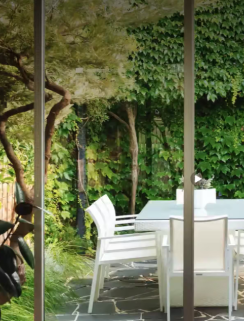 My Smart Garden - Small Trees for Small Spaces