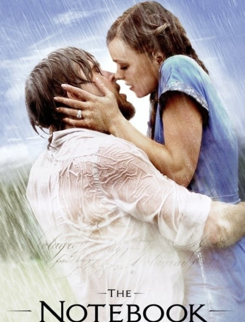 Valentine's Movie in the Park - The Notebook