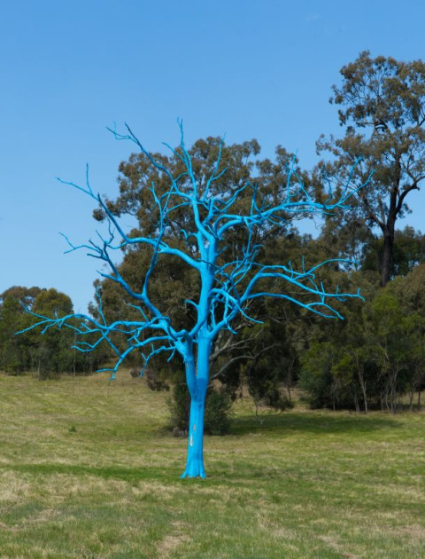 World Mental Health Day Blue Tree Project Event 