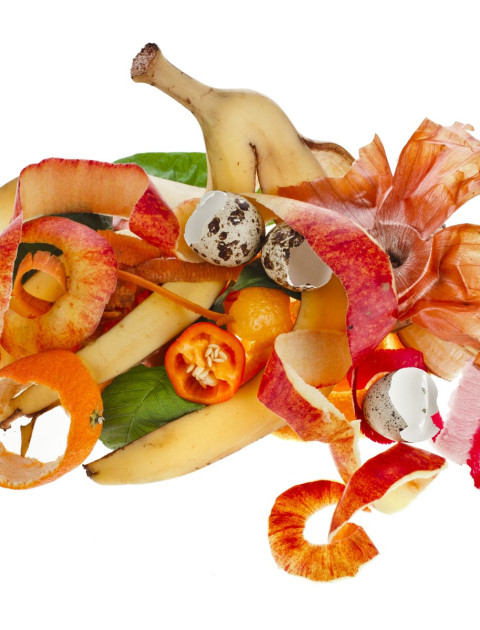 Food Scraps (no meat)