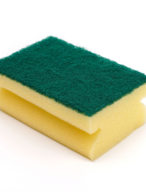 Sponges