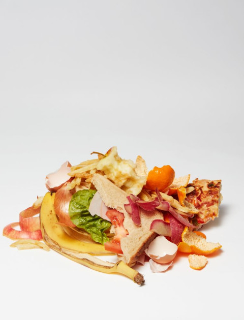 Vegetable & Fruit Scraps