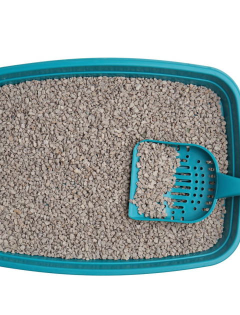 Kitty litter