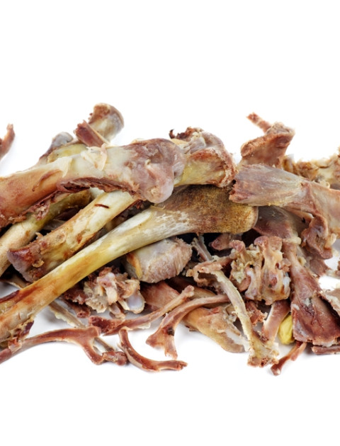 Bones (Cooked or Raw)