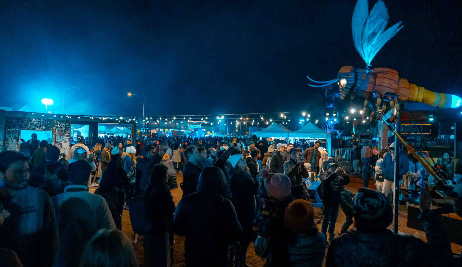 Firefly Night Market 