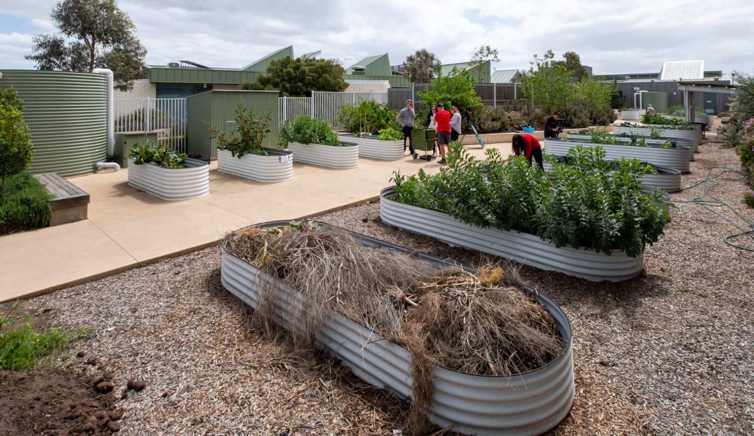 Community Gardening