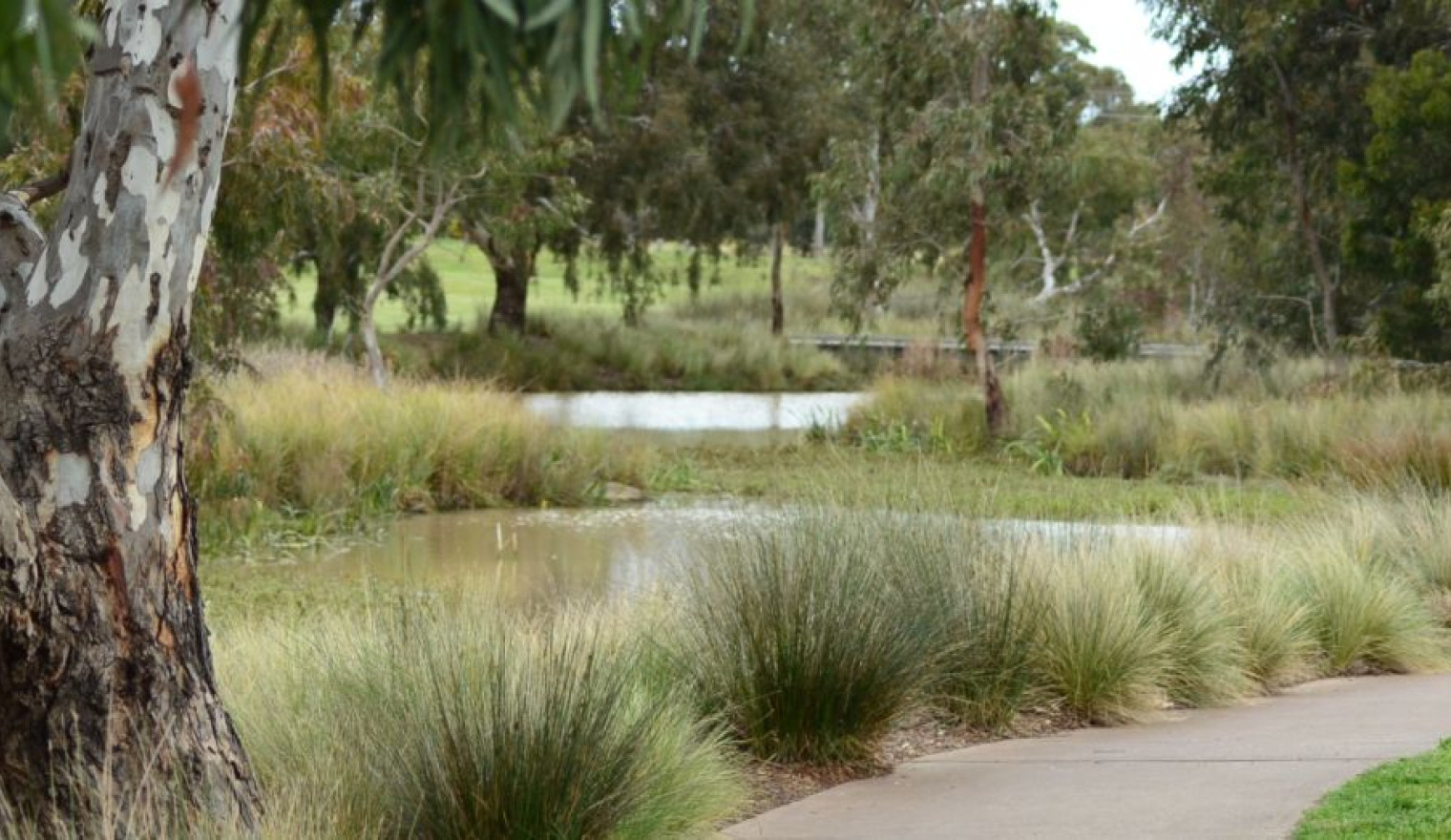 Conservation in Wyndham