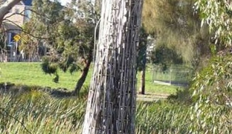 Fossil (2008) - Kirsteen Pieterse