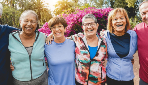  Seniors Festival
