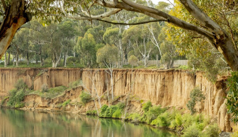 Reconciliation in Wyndham