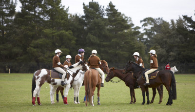 National Equestrian Centre