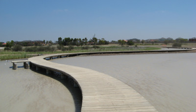 Heathdale Wetlands