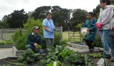 Community Gardening in Wyndham