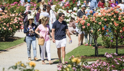 Victoria State Rose Garden