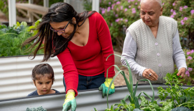 Gardening 