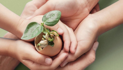 Sustainable Lifestyle