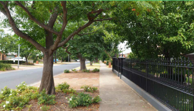 Trees and Foundations