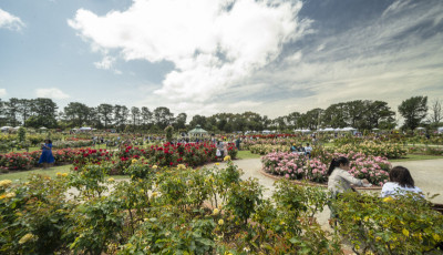 State Rose & Garden Show