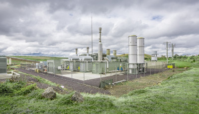 Wyndham Bioenergy Facility