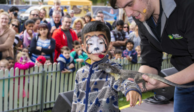 pet expo